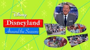 Disneyland Around the Seasons's poster