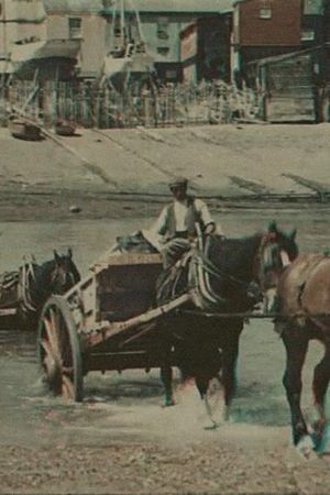 Fording the River's poster image