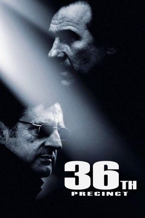 36th Precinct's poster