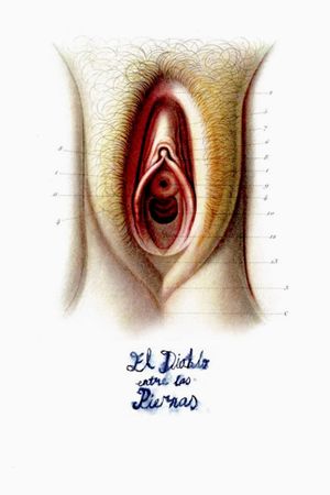 Devil Between the Legs's poster