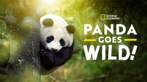 Panda Goes Wild's poster