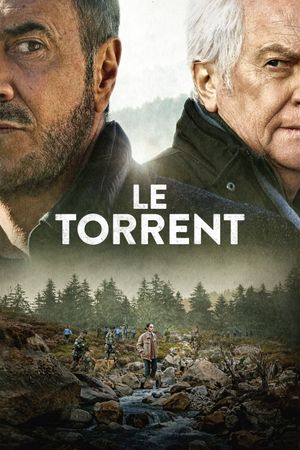 Le torrent's poster