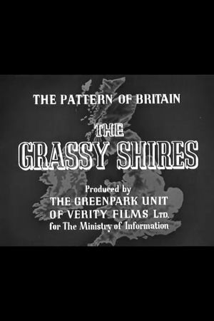 The Grassy Shires's poster