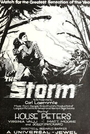 The Storm's poster