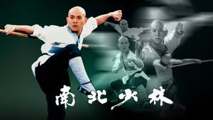 Martial Arts of Shaolin's poster