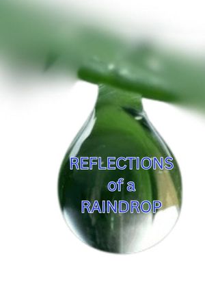 Reflections in a Raindrop: A Student Film's poster