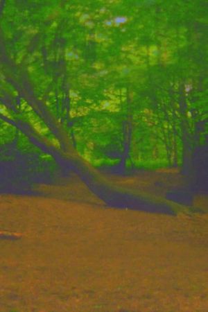 Fuck Tree's poster