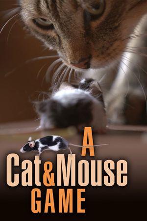 A Cat and Mouse Game's poster