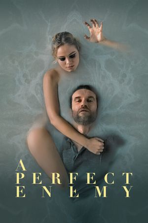 A Perfect Enemy's poster