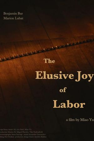 The Elusive Joy of Labor's poster image