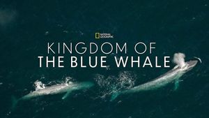 Kingdom of the Blue Whale's poster