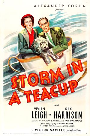 Storm in a Teacup's poster