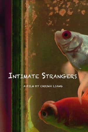Intimate Strangers's poster