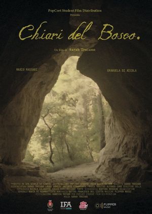Chiari del Bosco's poster