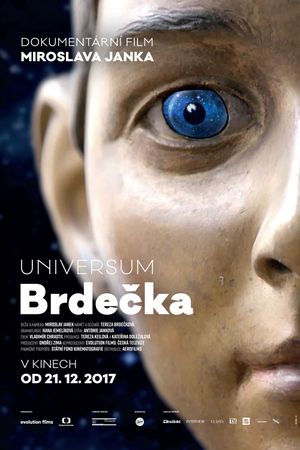 Universum Brdecka's poster