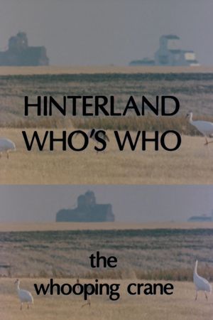 Hinterland Who's Who: Whooping Crane's poster