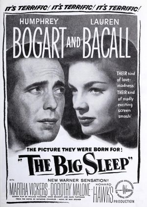 The Big Sleep's poster