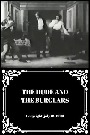 The Dude and the Burglars's poster