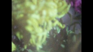 Bouquet's poster