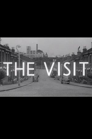 The Visit's poster