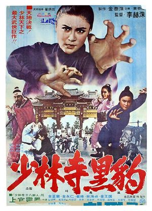 Black Mark of Shaolin's poster
