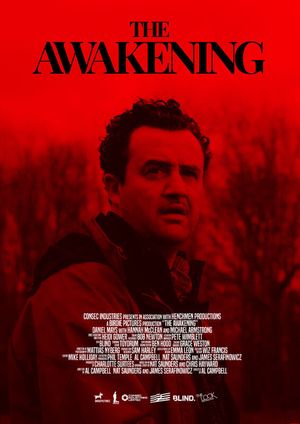 The Awakening's poster