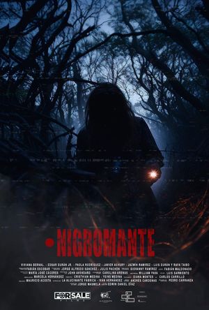 Nigromante's poster