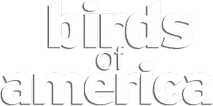 Birds of America's poster