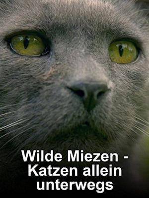 Wilde Miezen - Katzen allein unterwegs's poster