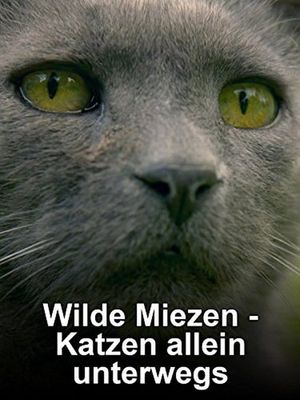 Wilde Miezen - Katzen allein unterwegs's poster