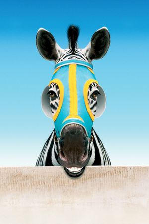 Racing Stripes's poster