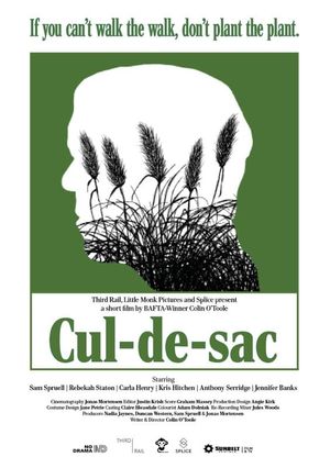 Cul-de-sac's poster