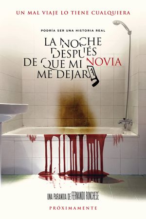 La noche después de que mi novia me dejara's poster