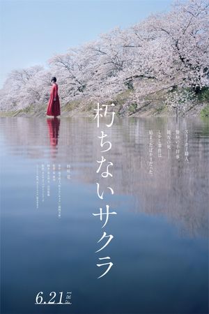 Sakura's poster