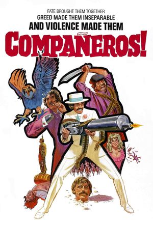 Compañeros's poster
