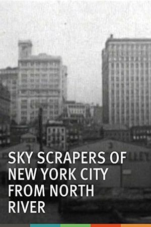 Skyscrapers of New York City, from the North River's poster