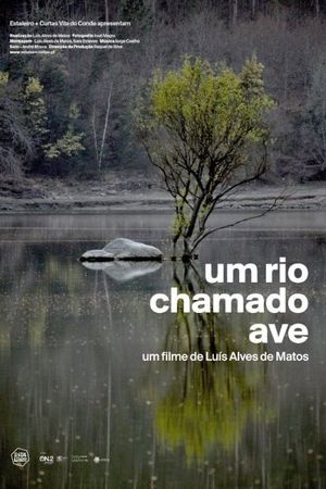 Um Rio Chamado Ave's poster