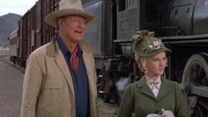 The Train Robbers's poster