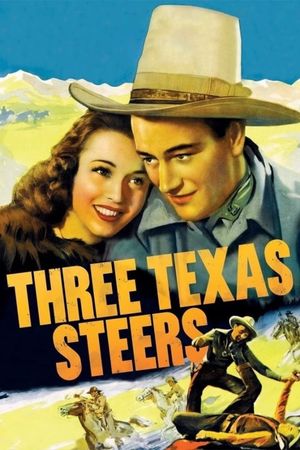 Three Texas Steers's poster