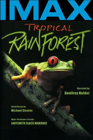 Tropical Rainforest's poster