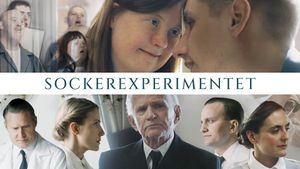 The Sugar Experiment's poster