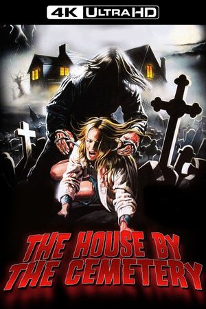 The House by the Cemetery's poster