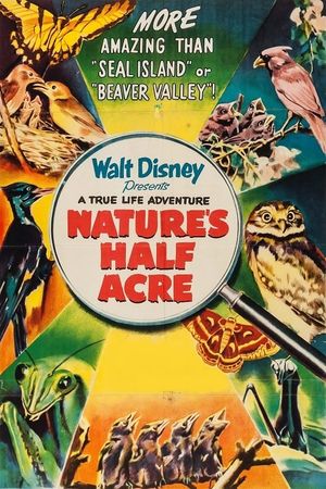 Nature's Half Acre's poster