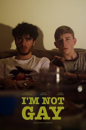 I’m Not Gay's poster