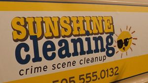 Sunshine Cleaning's poster