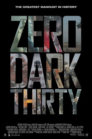 Zero Dark Thirty's poster