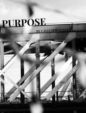 Purpose's poster