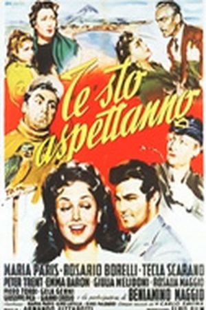 Te stò aspettanno's poster image