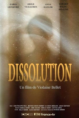 Dissolution's poster