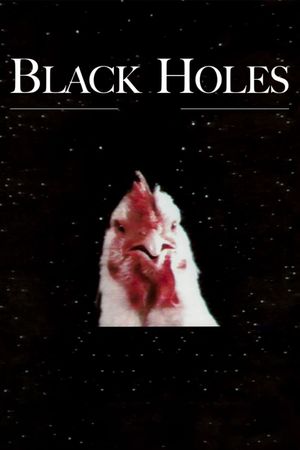 Black Holes's poster